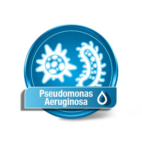 Wassertest Pseudomonas 