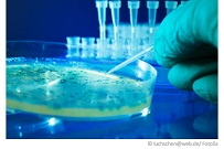 wasseranalyse-wasser-test-bakterien